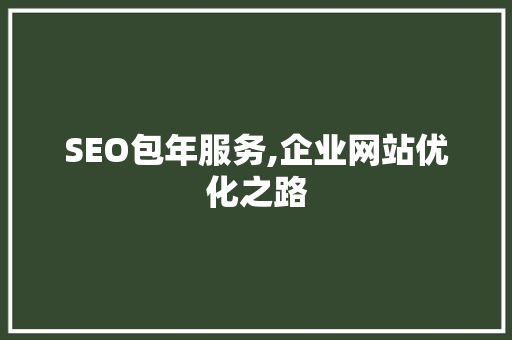 SEO包年服务,企业网站优化之路