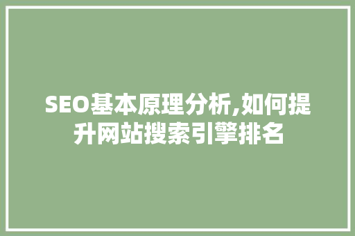 SEO基本原理分析,如何提升网站搜索引擎排名