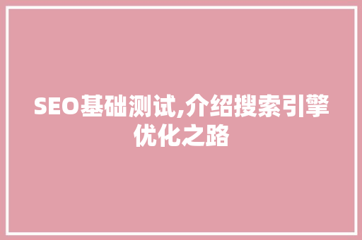 SEO基础测试,介绍搜索引擎优化之路