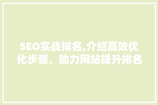 SEO实战排名,介绍高效优化步骤，助力网站提升排名