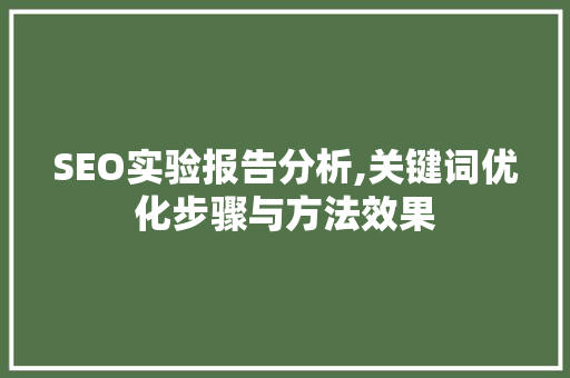 SEO实验报告分析,关键词优化步骤与方法效果