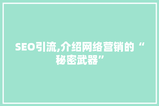 SEO引流,介绍网络营销的“秘密武器”