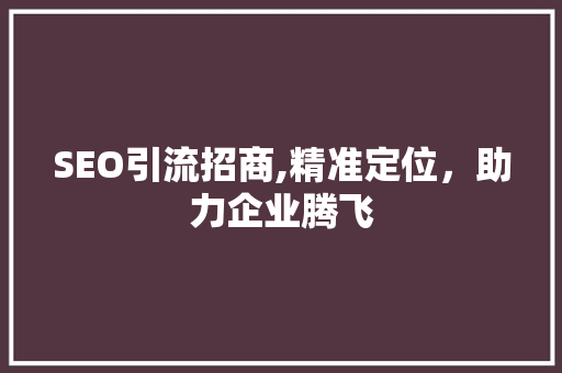 SEO引流招商,精准定位，助力企业腾飞