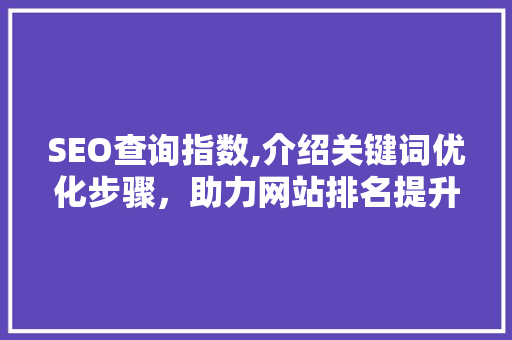 SEO查询指数,介绍关键词优化步骤，助力网站排名提升