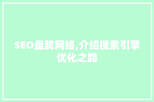 SEO盘胧网络,介绍搜索引擎优化之路