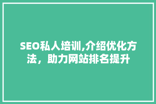 SEO私人培训,介绍优化方法，助力网站排名提升