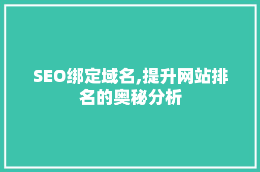 SEO绑定域名,提升网站排名的奥秘分析