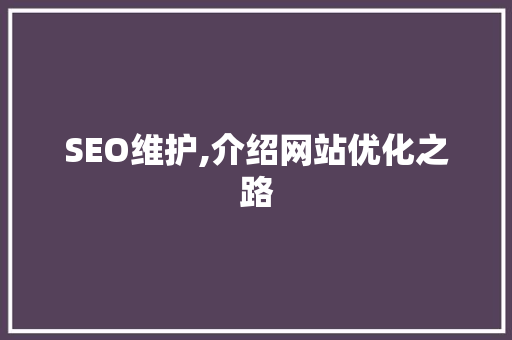 SEO维护,介绍网站优化之路