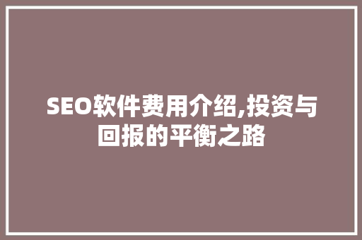 SEO软件费用介绍,投资与回报的平衡之路