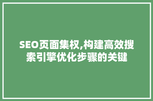 SEO页面集权,构建高效搜索引擎优化步骤的关键