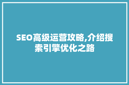 SEO高级运营攻略,介绍搜索引擎优化之路