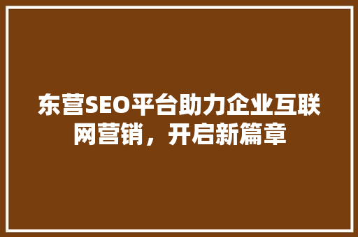 东营SEO平台助力企业互联网营销，开启新篇章