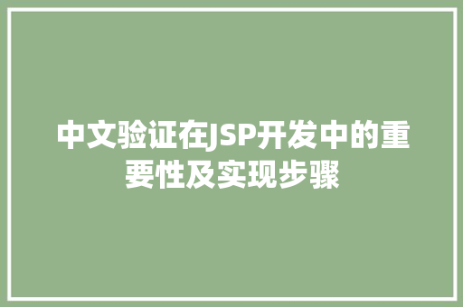 中文验证在JSP开发中的重要性及实现步骤