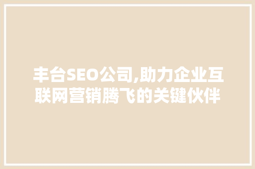 丰台SEO公司,助力企业互联网营销腾飞的关键伙伴