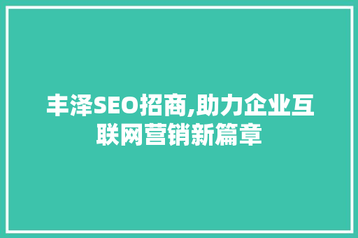 丰泽SEO招商,助力企业互联网营销新篇章