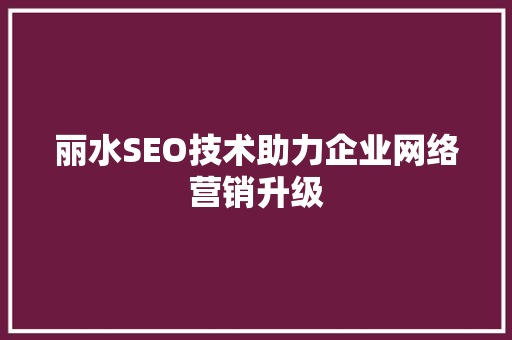 丽水SEO技术助力企业网络营销升级