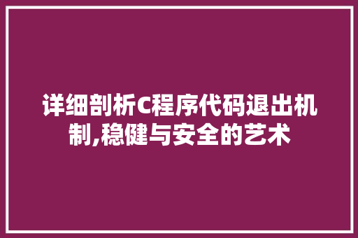 详细剖析C程序代码退出机制,稳健与安全的艺术