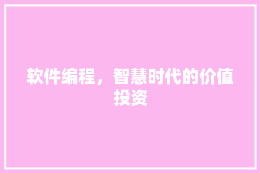 软件编程，智慧时代的价值投资