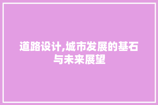 道路设计,城市发展的基石与未来展望