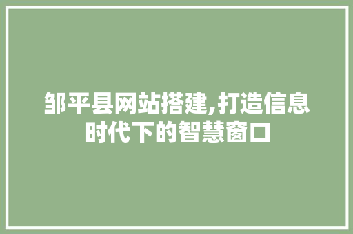 邹平县网站搭建,打造信息时代下的智慧窗口