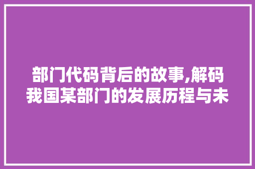 部门代码背后的故事,解码我国某部门的发展历程与未来展望