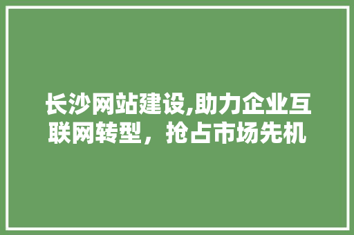 长沙网站建设,助力企业互联网转型，抢占市场先机