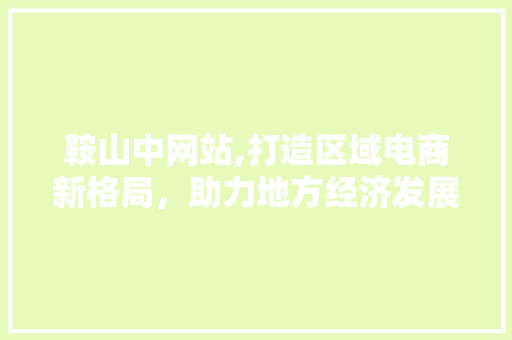 鞍山中网站,打造区域电商新格局，助力地方经济发展
