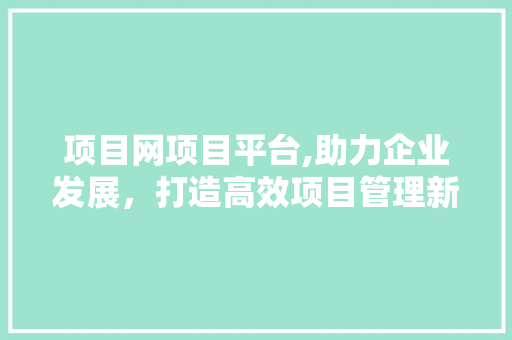 项目网项目平台,助力企业发展，打造高效项目管理新生态