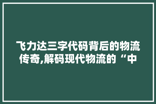飞力达三字代码背后的物流传奇,解码现代物流的“中国速度”