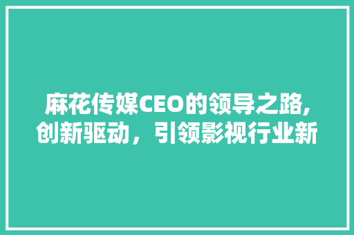 麻花传媒CEO的领导之路,创新驱动，引领影视行业新风向