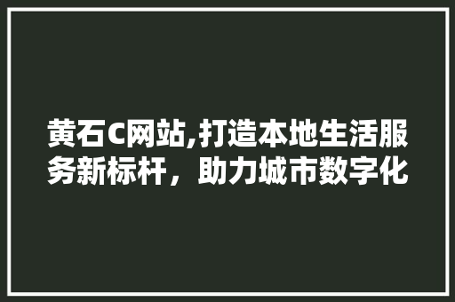 黄石C网站,打造本地生活服务新标杆，助力城市数字化转型