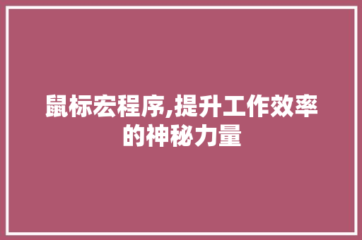鼠标宏程序,提升工作效率的神秘力量