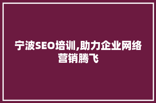 宁波SEO培训,助力企业网络营销腾飞