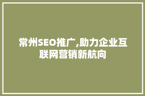 常州SEO推广,助力企业互联网营销新航向