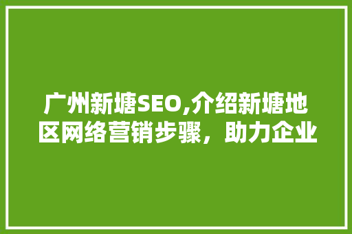 广州新塘SEO,介绍新塘地区网络营销步骤，助力企业腾飞