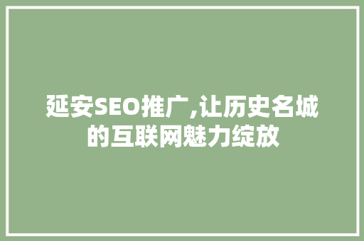 延安SEO推广,让历史名城的互联网魅力绽放