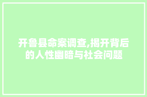 开鲁县命案调查,揭开背后的人性幽暗与社会问题
