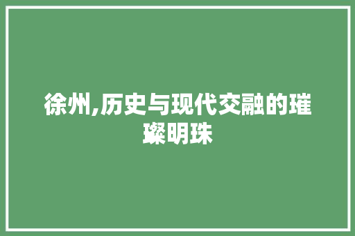 徐州,历史与现代交融的璀璨明珠