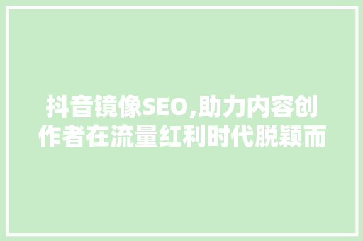 抖音镜像SEO,助力内容创作者在流量红利时代脱颖而出