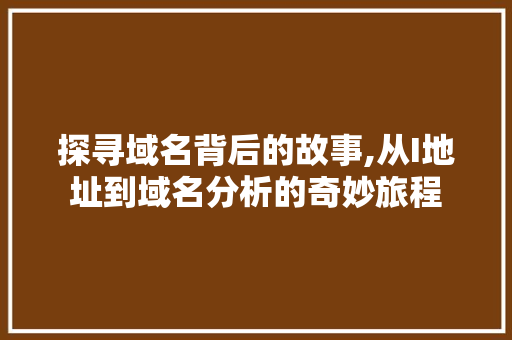 探寻域名背后的故事,从I地址到域名分析的奇妙旅程