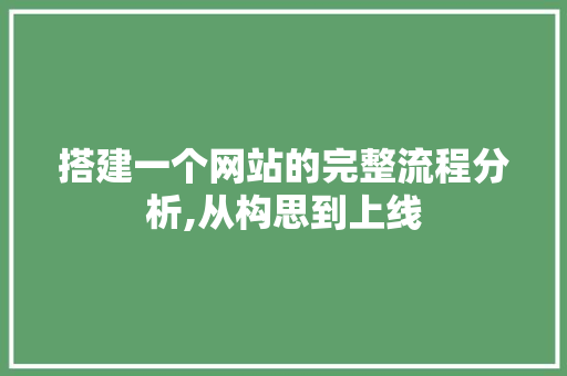 搭建一个网站的完整流程分析,从构思到上线