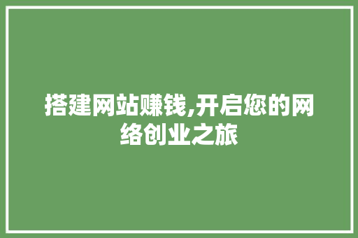 搭建网站赚钱,开启您的网络创业之旅