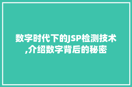 数字时代下的JSP检测技术,介绍数字背后的秘密
