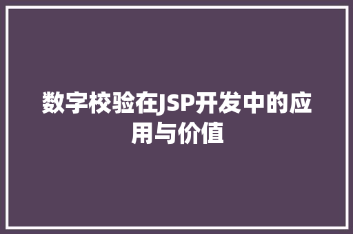 数字校验在JSP开发中的应用与价值