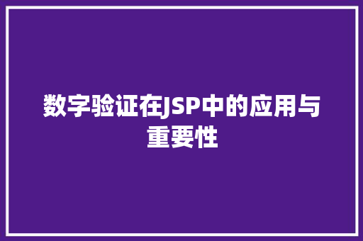 数字验证在JSP中的应用与重要性
