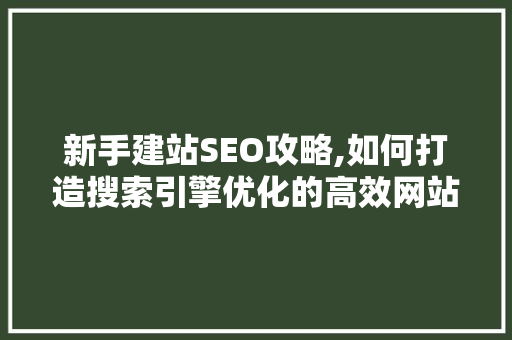 新手建站SEO攻略,如何打造搜索引擎优化的高效网站
