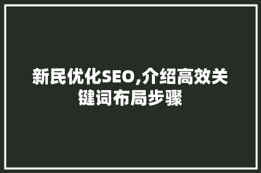 新民优化SEO,介绍高效关键词布局步骤