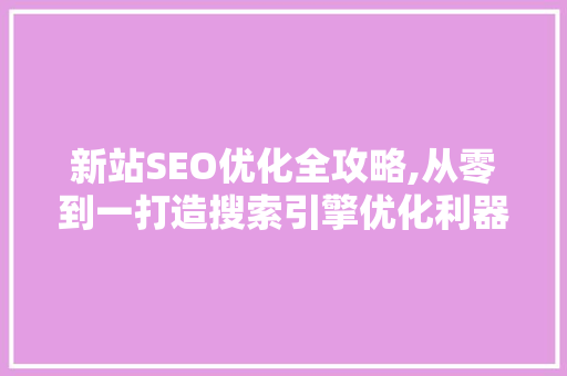 新站SEO优化全攻略,从零到一打造搜索引擎优化利器