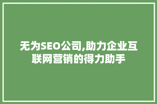 无为SEO公司,助力企业互联网营销的得力助手