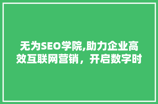 无为SEO学院,助力企业高效互联网营销，开启数字时代新篇章